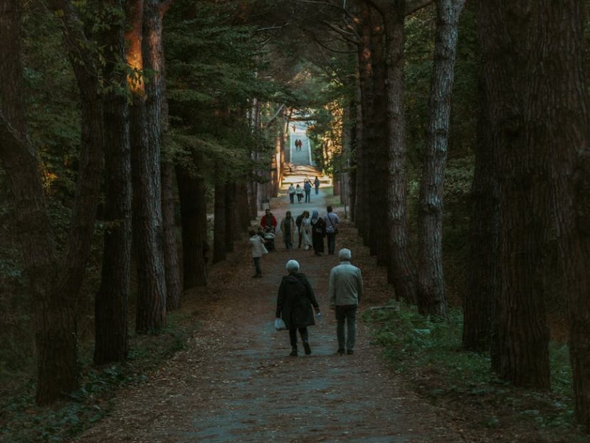people walking on footpath in autumn park