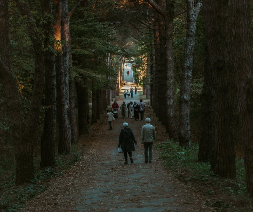 people walking on footpath in autumn park
